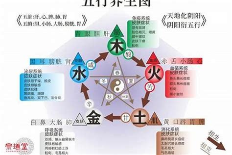 水 金 五行|五行